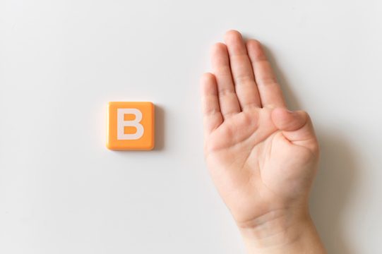 Sign language hand showing letter b
b