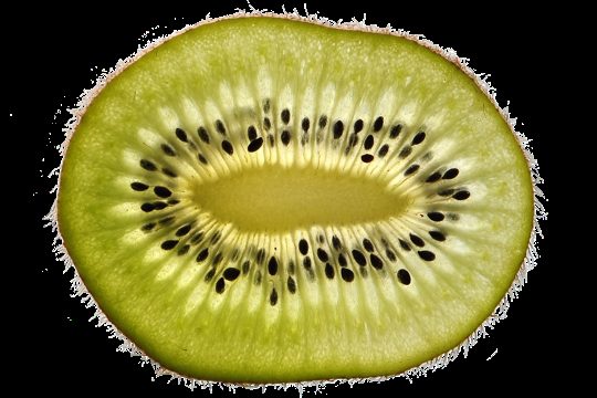 kiwi, fruit, half