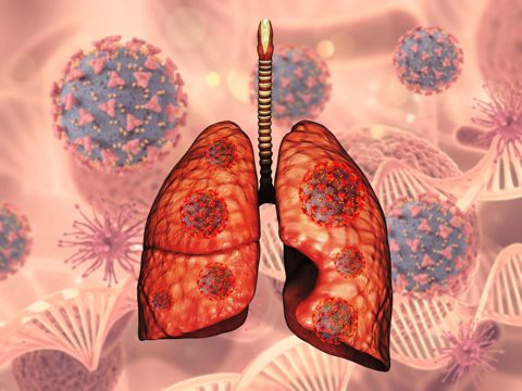 3d render of a medical background with lungs and covid 19 virus cells